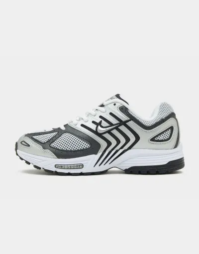 Nike Air Pegasus 2005