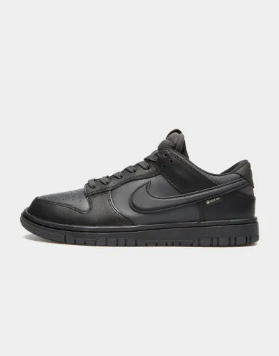 Nike  NIKE DUNK LOW GTX 